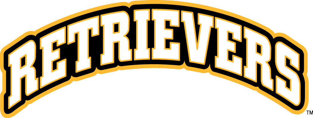 UMBC Retrievers 2010-Pres Wordmark Logo 03 iron on paper